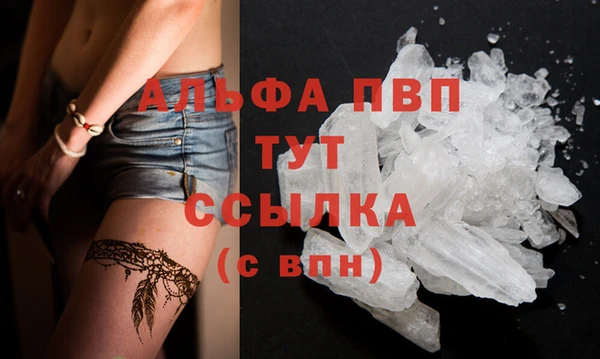 a pvp Белокуриха