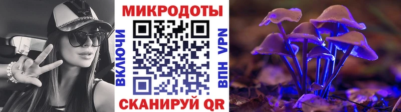 Псилоцибиновые грибы GOLDEN TEACHER  дарк нет телеграм  Новая Ладога 
