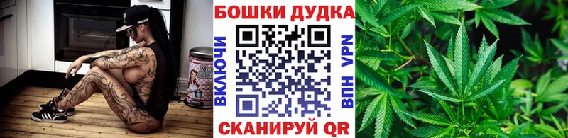 Бошки марихуана сатива  купить  цена  Новая Ладога 